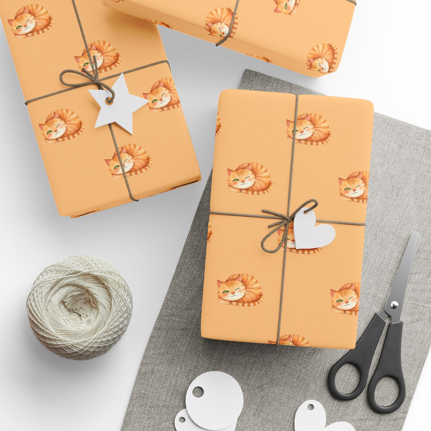 Sleepy Orange Cat Gift Wrap