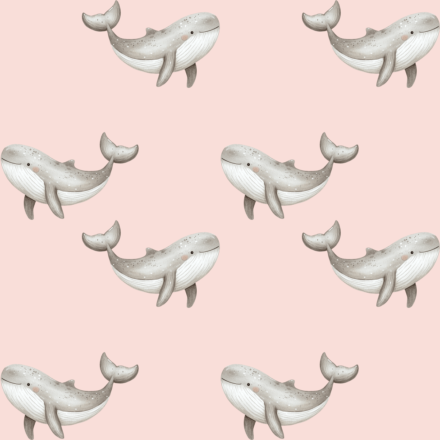 Whale of a Gift – Adorable Ocean Wrap