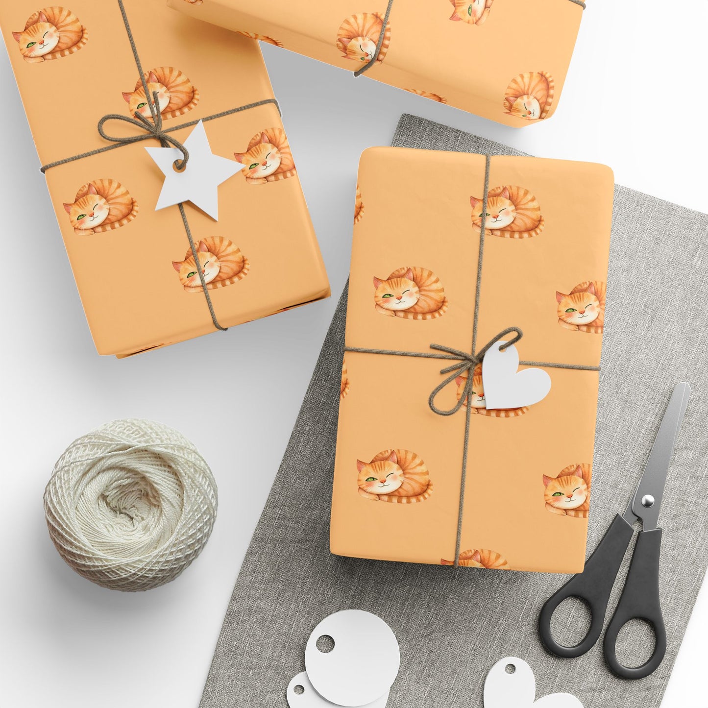 Sleepy Orange Cat Gift Wrap