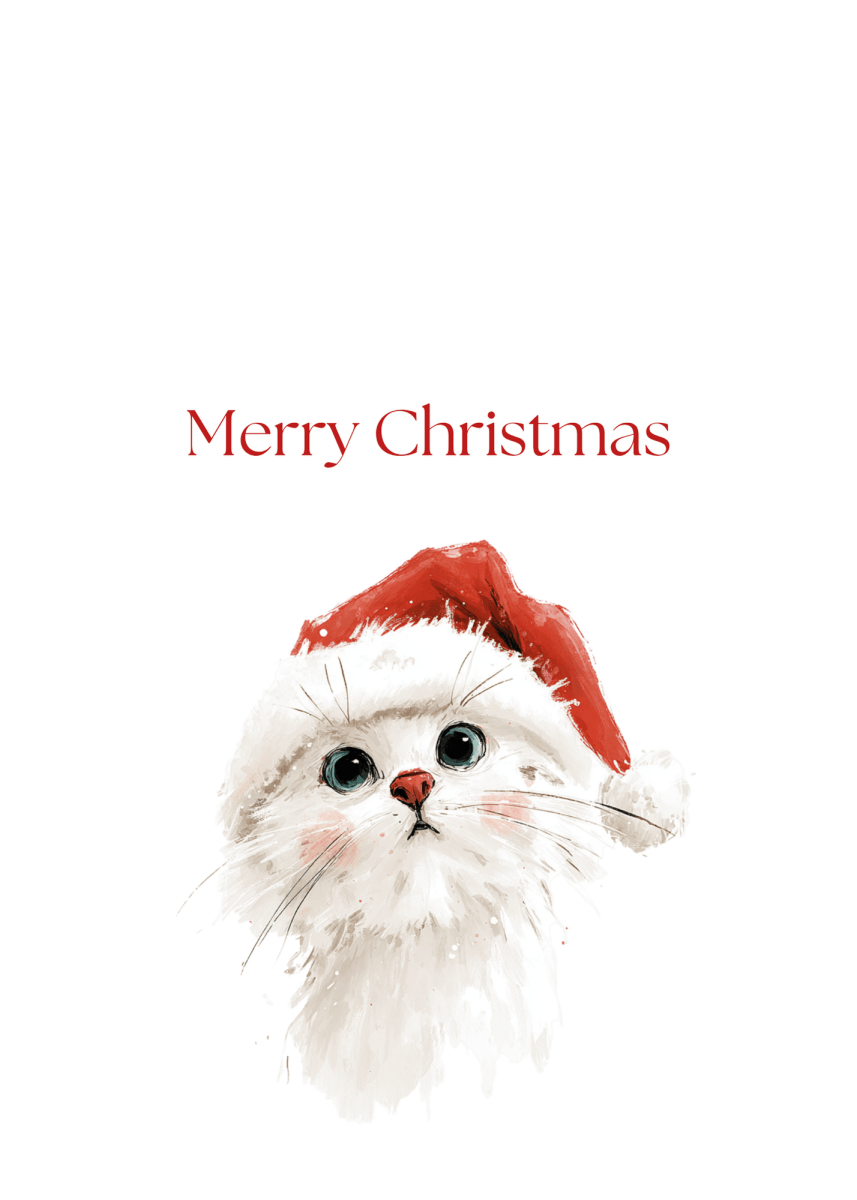 Christmas Hat Kitten Greeting Cards (25-Pack)
