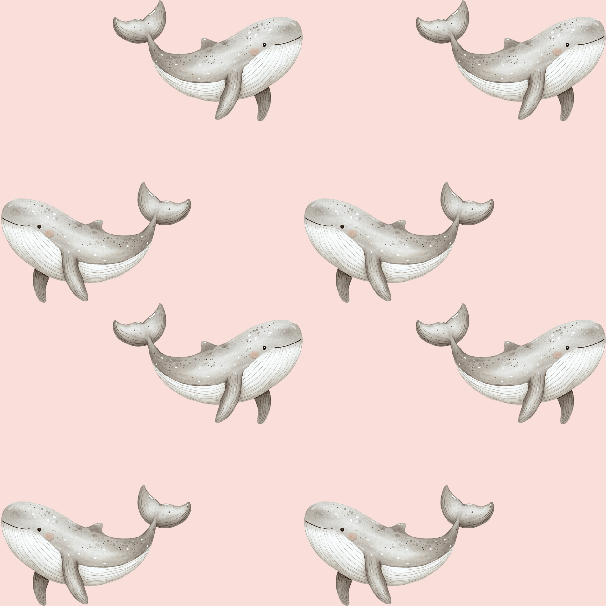 Whale of a Gift – Adorable Ocean Wrap