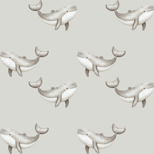Cute Gray Whale Gift Design
