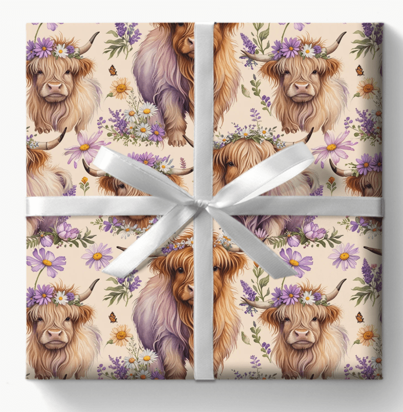 Fluffy Highland Cows