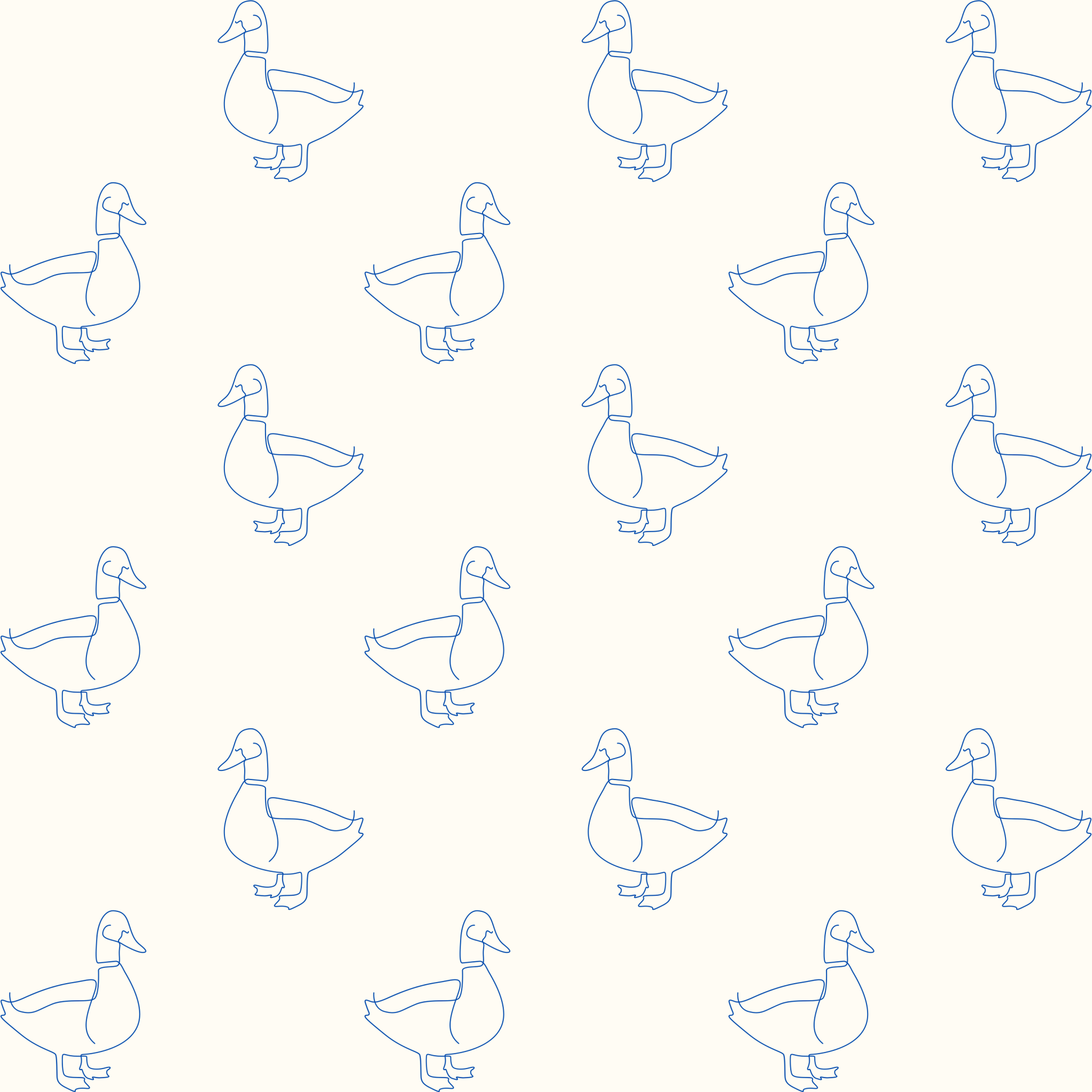 Charming Duck Wrapping Paper Roll