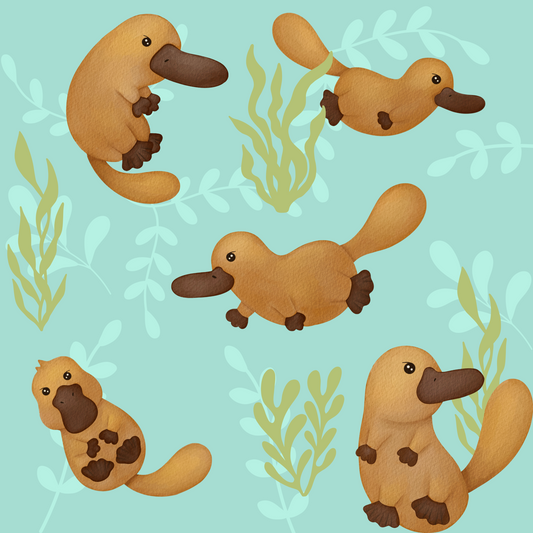 Cute Platypus Themed Wrapping Paper