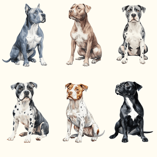 Pitbull Wrapping Paper Roll