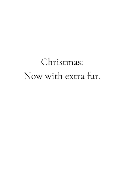 Funny Christmas (Cats - Set 1) Greeting Card Pack | Set of 5 Holiday Cards | Cute & Cheeky Christmas Cards