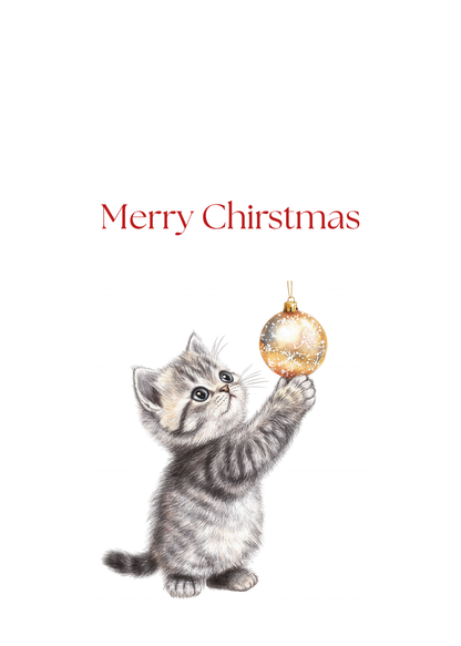 Funny Christmas (Cats - Set 2) Greeting Card Pack | Set of 5 Holiday Cards | Cute & Cheeky Christmas Cards