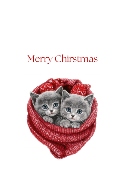 Funny Christmas (Cats - Set 3) Greeting Card Pack | Set of 5 Holiday Cards | Cute & Cheeky Christmas Cards