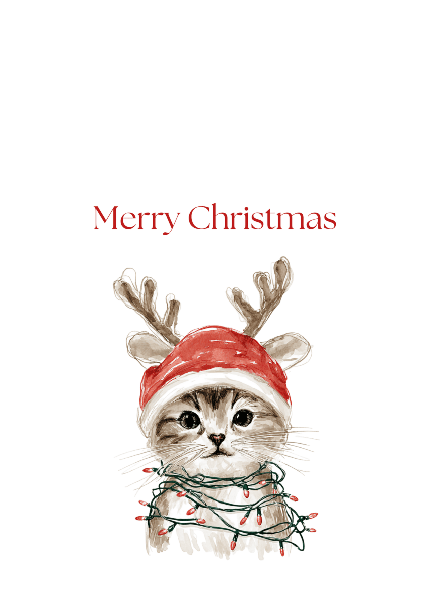 Christmas Kitten Greeting Cards (25-Pack)