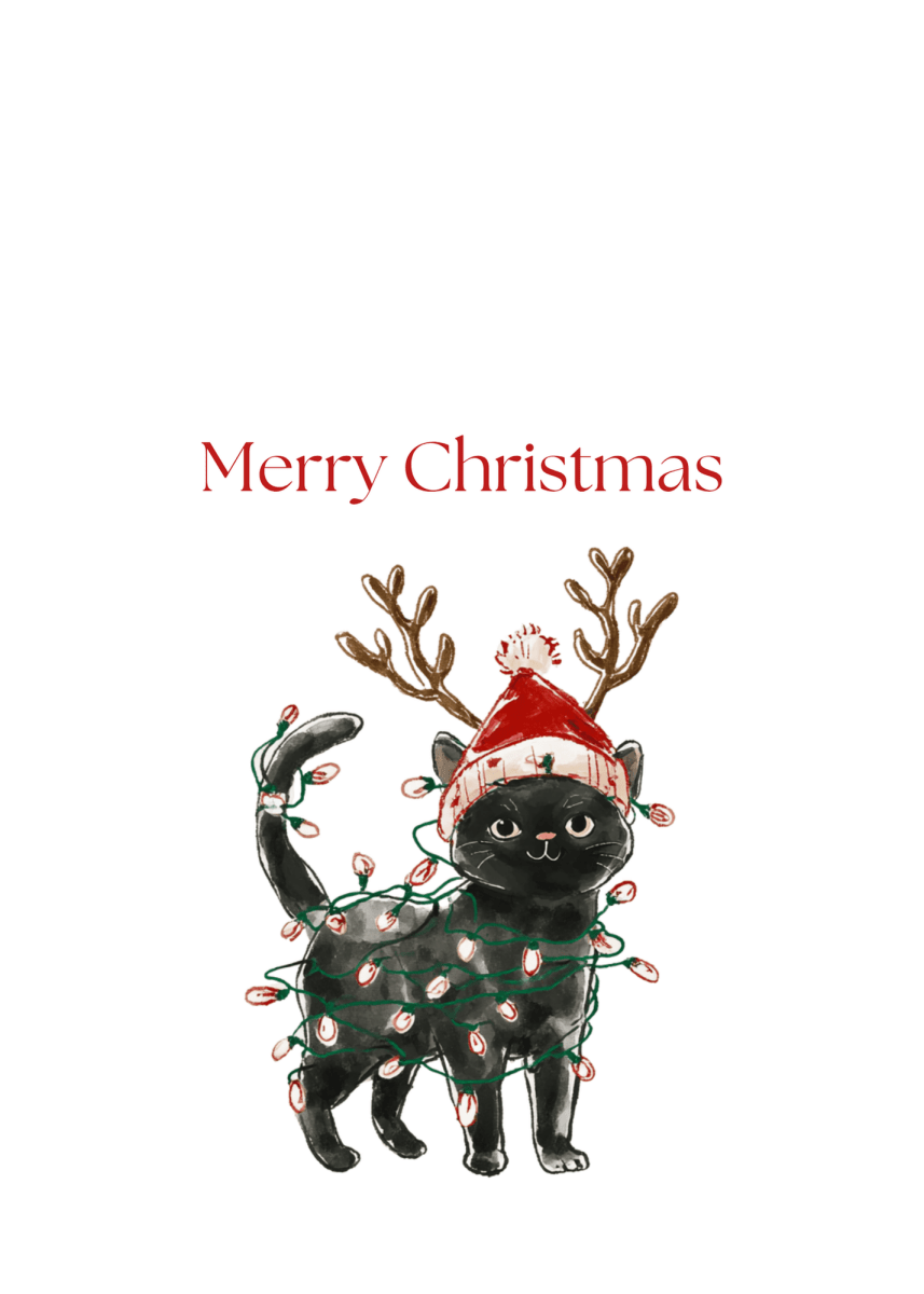 Christmas Light Kitten Greeting Cards (25-Pack)