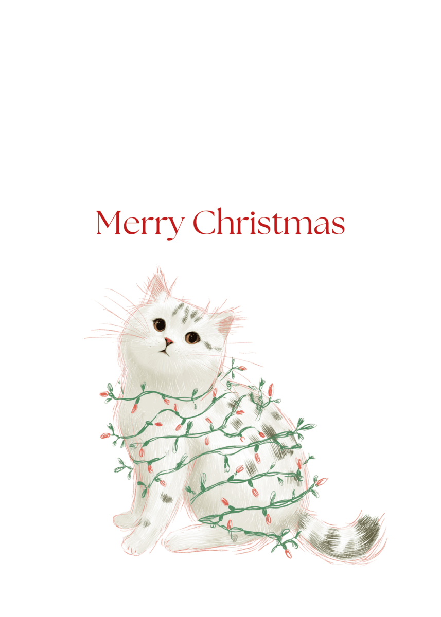 Christmas Light Kitten Greeting Cards (25-Pack)