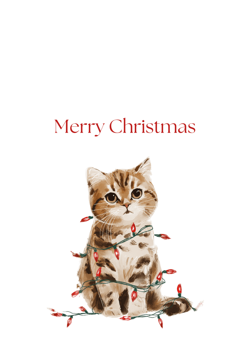 Christmas Light Kitten Greeting Cards (25-Pack)