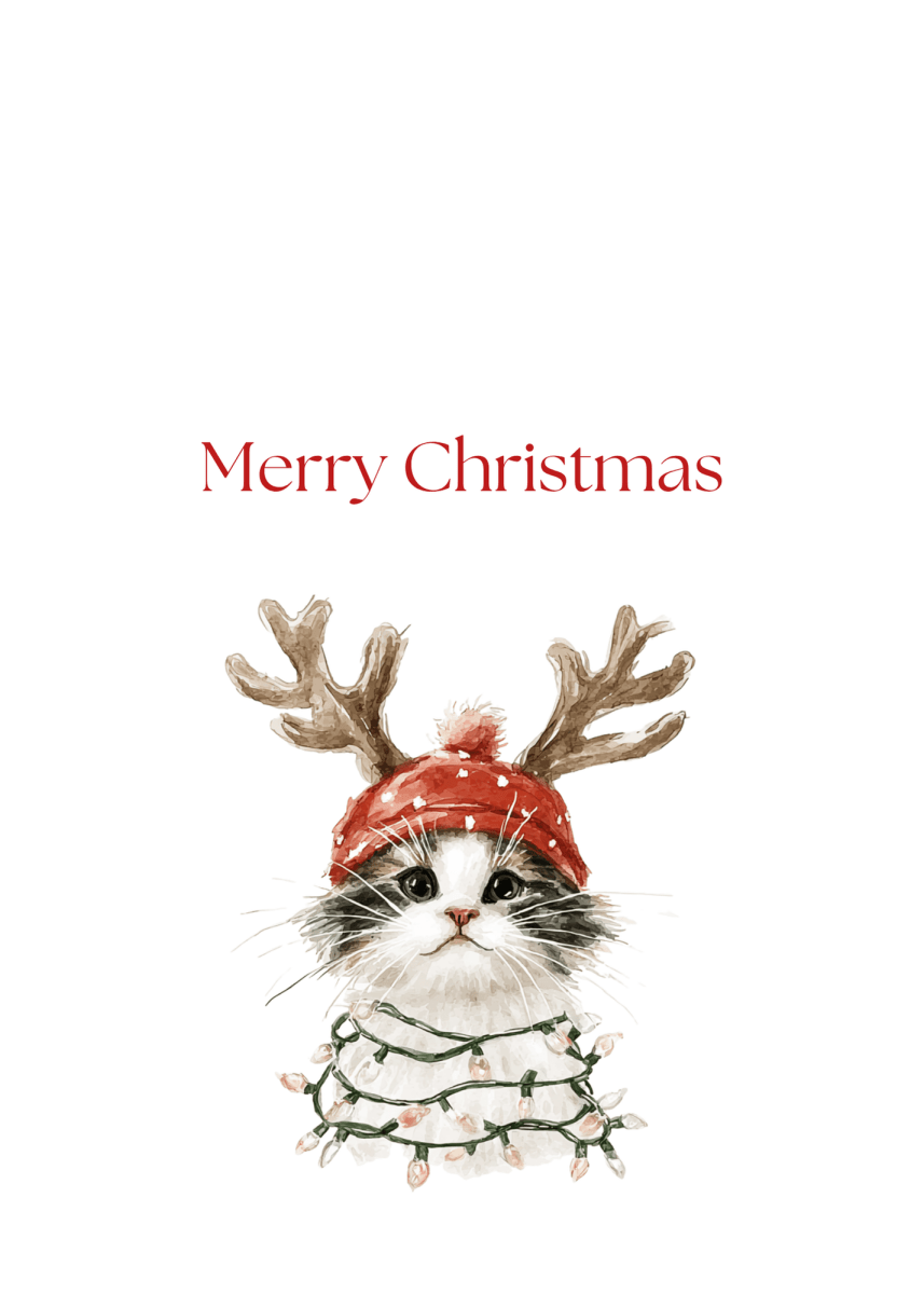 Christmas Light Kitten Greeting Cards (25-Pack)