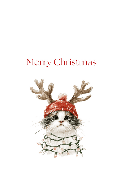 Christmas Light Kitten Greeting Cards (25-Pack)