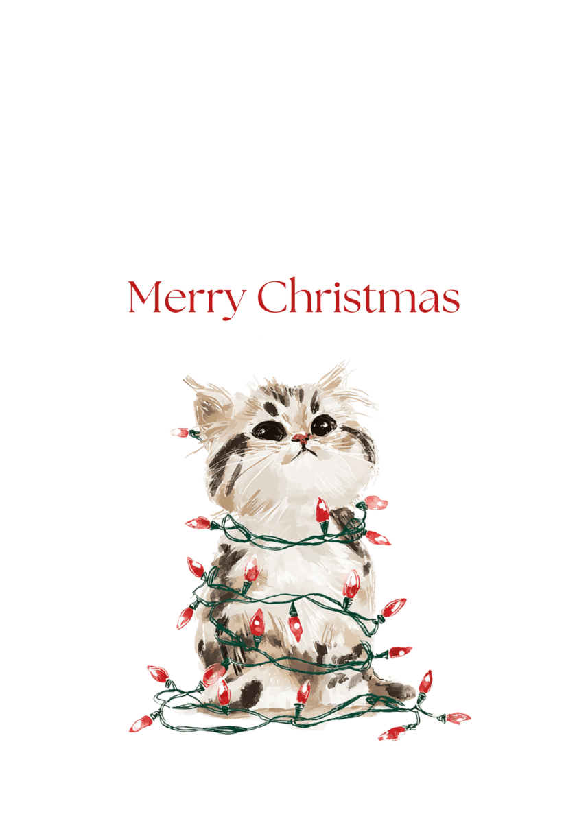 Christmas Light Kitten Greeting Cards (25-Pack)