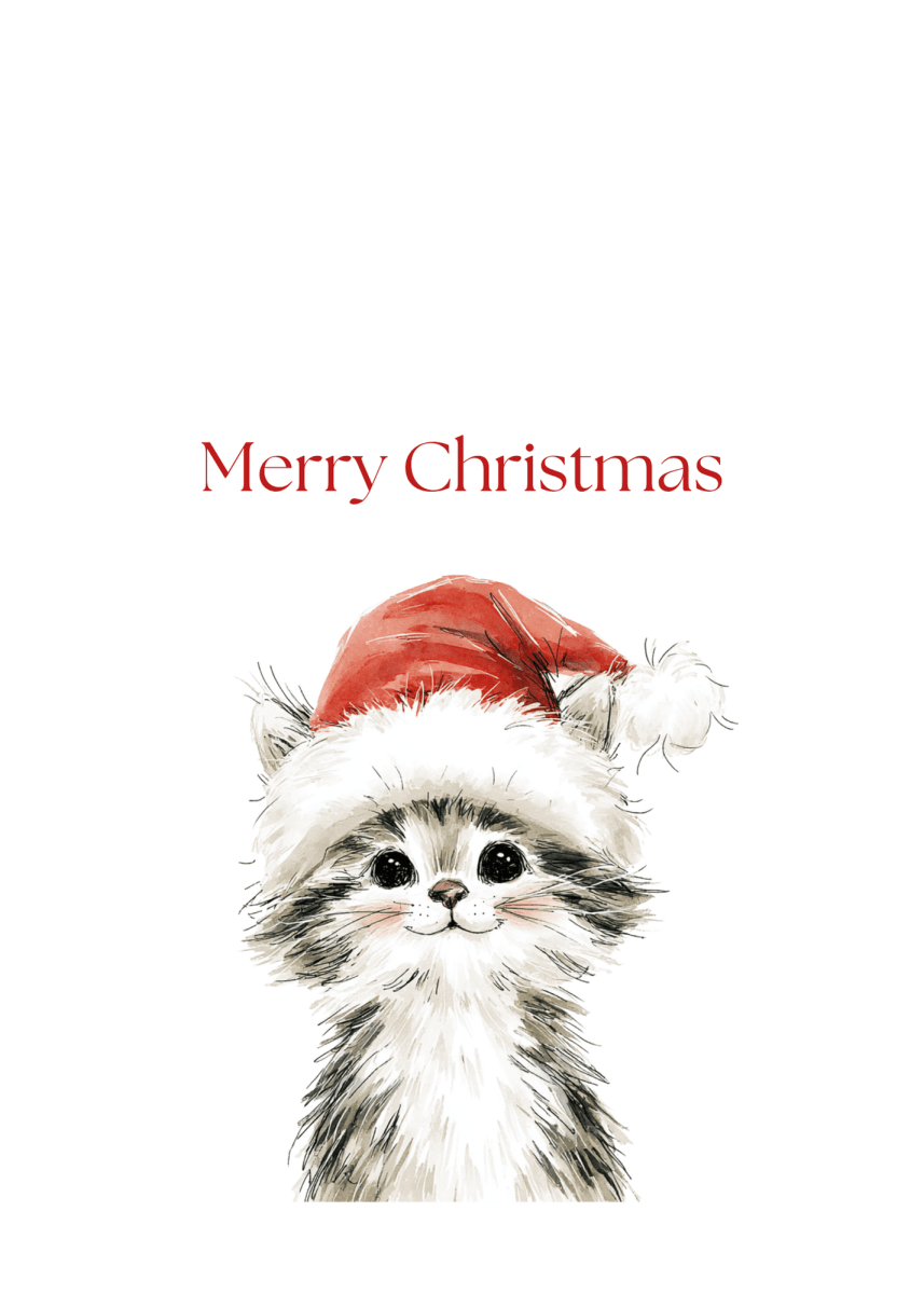 Christmas Hat Kitten Greeting Cards (25-Pack)